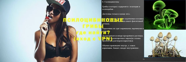 прущие крисы Аркадак