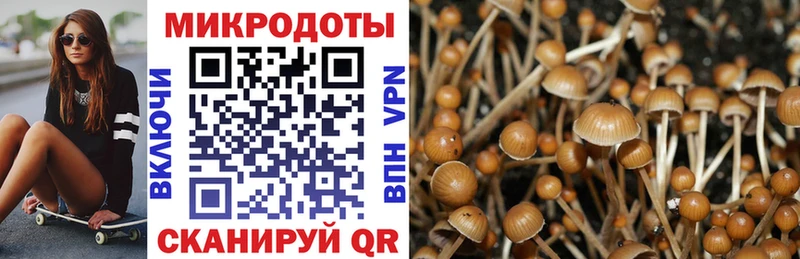ОМГ ОМГ маркетплейс Арсеньев Галлюциногенные грибы Cubensis
